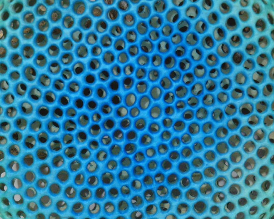 "Diatom 1", finished with acrylics and Fixatiff