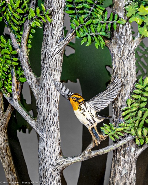 The Last Warbler-  A Blackburnian warbler, one of my favorites- Not for sale
