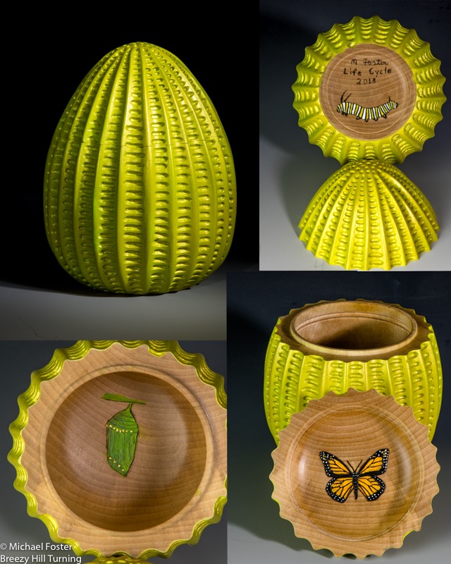 Life Cycle- These images show the artwork depicting the egg (outside form), caterpillar, chysalis and butterfly.-- Sold