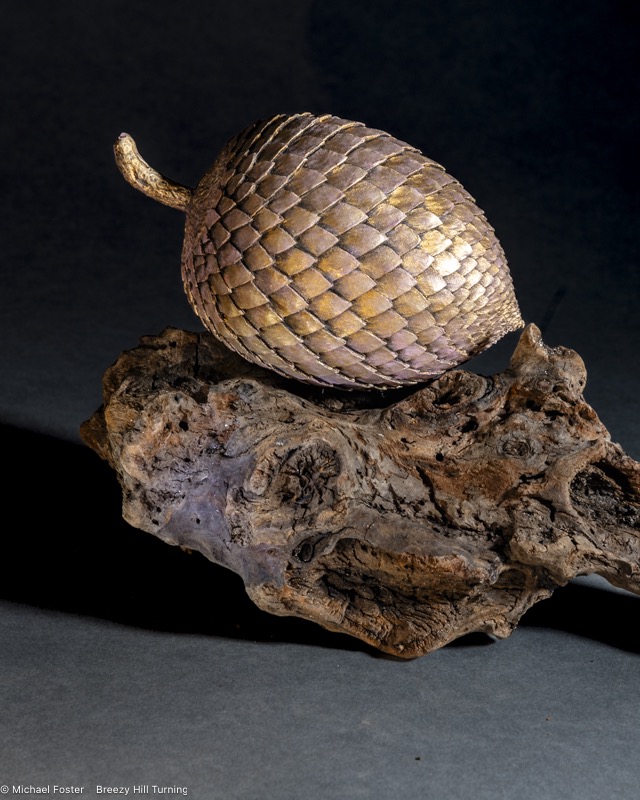 Mirabilis- a work inspired by a fossil of a Jurassic tree pinecone  Araucaria mirabilis.----AVAILABLE