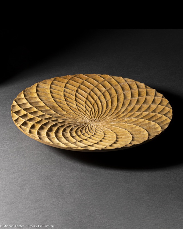 Leonardo's Spirals  21 Fibonacci curves in one direction and 34 in the opposite----AVAILABLE