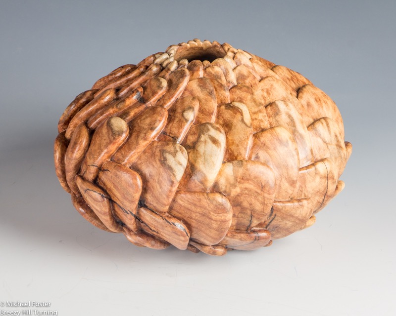 Succulent Maple- Succulents and Cacti often show Fibonacci spirals----AVAILABLE
