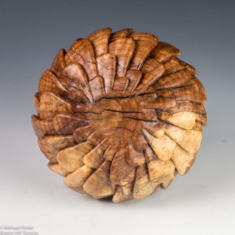 Succulent Maple- ----AVAILABLE