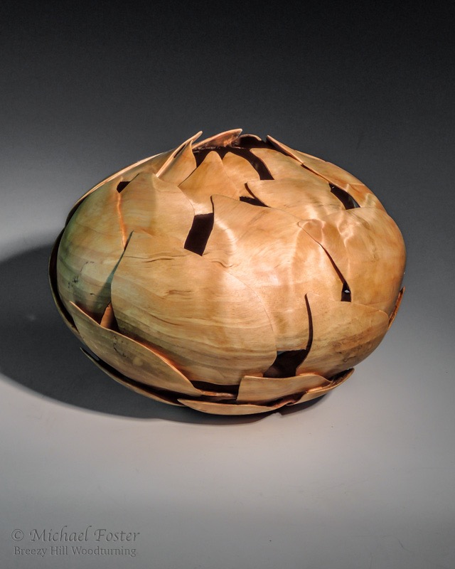 Fibonacci birch-   Birch burl, Waterlox.  6.5&rdquo; H x 9&rdquo;D----SOLD
