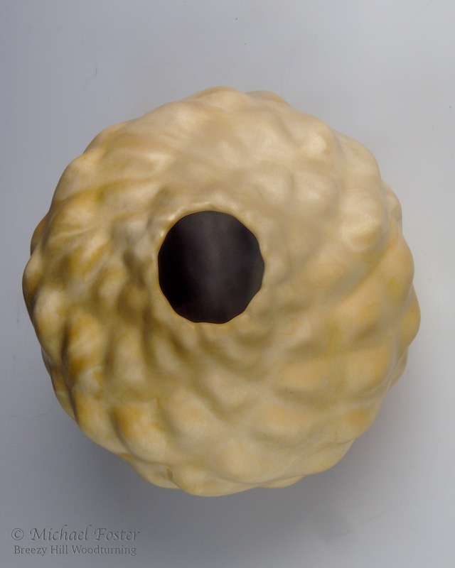 Parastichy II-   Birch Burl, Bush Oil<br>7&rdquo; D x 6