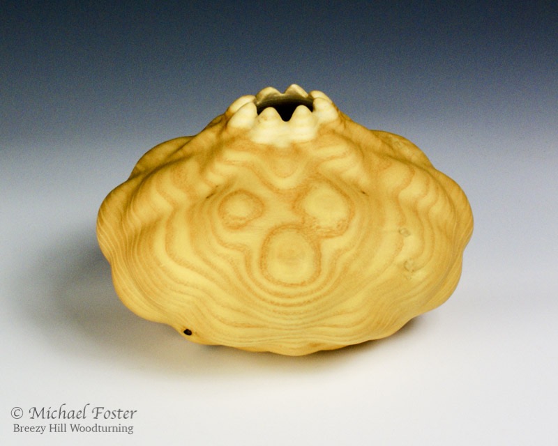 Phylotaxis-   A vessel with 8 spirals carved in each direction----SOLD