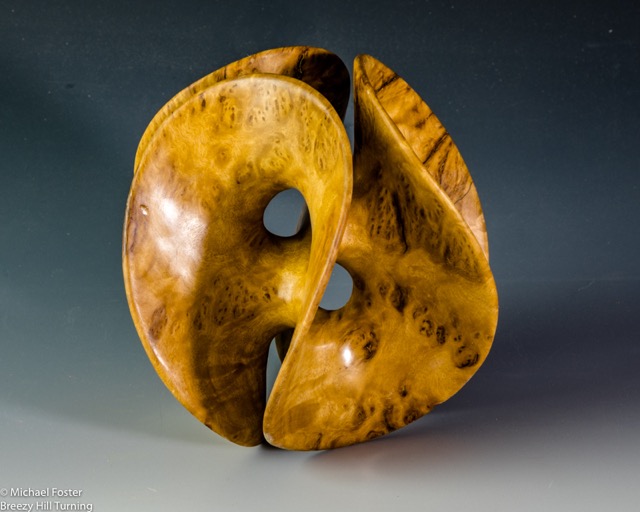 Spatial Distortion- Yellow Box Burl----SOLD