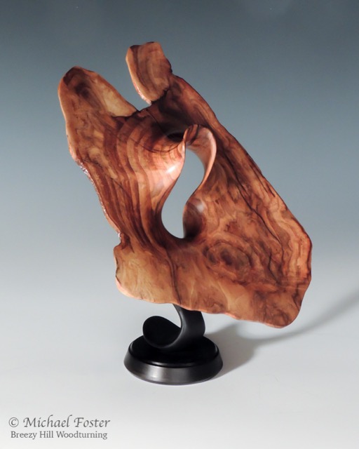 Distortion II-   A minimal surface of the intersection of an Enneper form with a flat plane.----SOLD