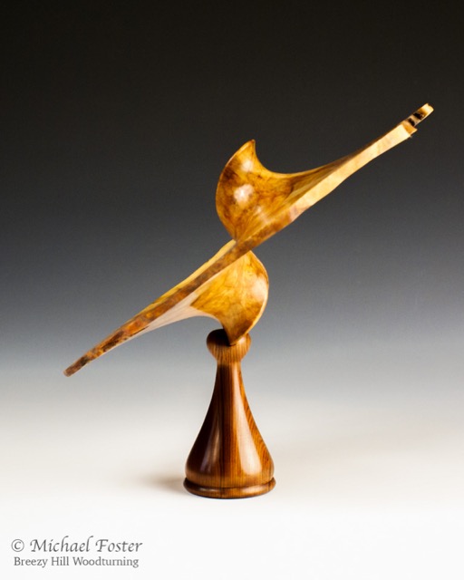 Distortion-   Maple burl, 10