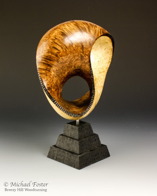 The Tao of Geometry-    Black ash burl,  12