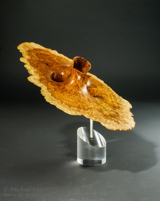 Space Warp-   Corrugata Burl, Tung oil/varnish mix, 13&rdquo; x 9.5 x 4&rdquo;, acrylic stand.----SOLD