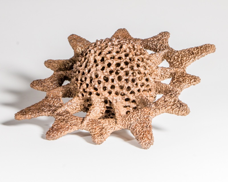 Radiolarian VII-   Inspired by a radiolarian, Parasaturnalis, I found in the book Merveilleux Microfossiles by Patrick De Wever.----AVAILABLE
