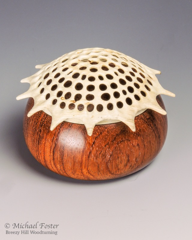 Rad Box-   A radiolarian of unknown species inspired by a scanning electron image.----SOLD