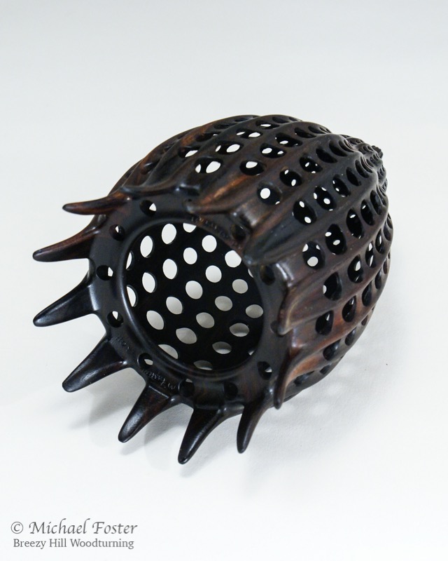 Radiolarian-   A piece loosely based on a couple of different radiolarian species.----SOLD