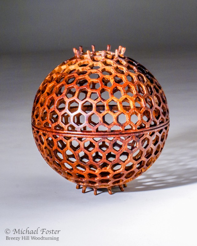 Diatom II-   Based on the Stephanopyxis turris diatom.  This diatom&rsquo;s skeleton (frustule) is laid in a hexagonal pattern, but has 10 pentagons mixed in the pattern that allows the whole pattern to become a sphere.----AVAILABLE